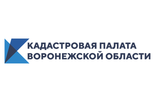 Кадастровая палата расскажет воронежцам об исправлении технических ошибок.