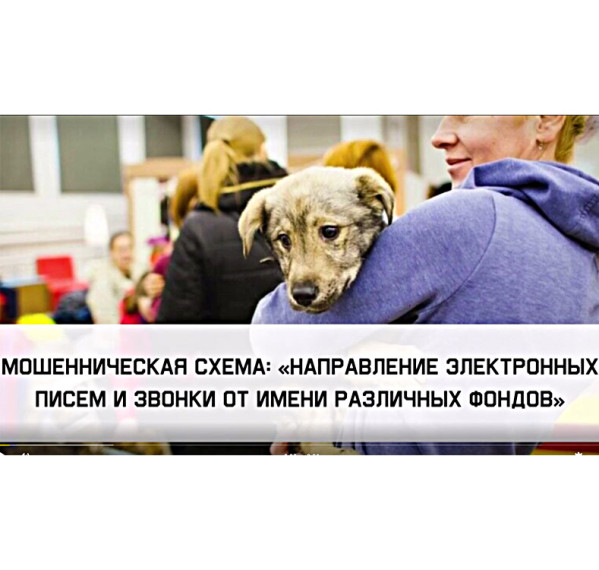 Мошенническая схема «Электронные письма, сообщения и звонки от имени различных фондов». Мошенническая схема «Электронные письма, сообщения и звонки от имени различных фондов».